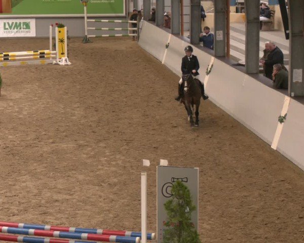 Reitturnier Legden | Ponyturnier 2024