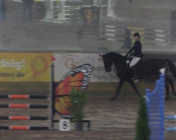 Reitturnier Pausin 2024