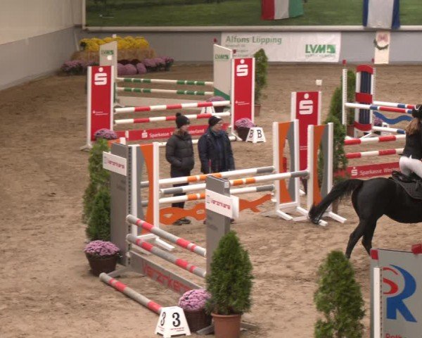 Reitturnier Legden | Ponyturnier 2024
