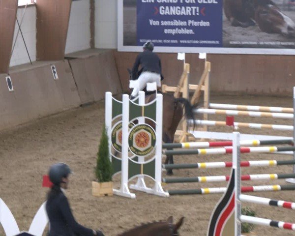 Reitturnier Bad Salzuflen 2024