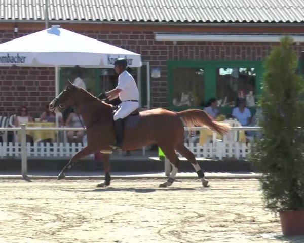 Ennigerloh-Neubeckum 2013