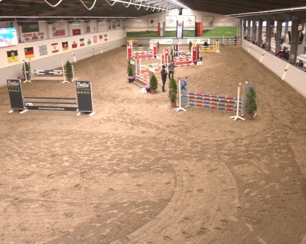 Reitturnier Legden | Ponyturnier 2024