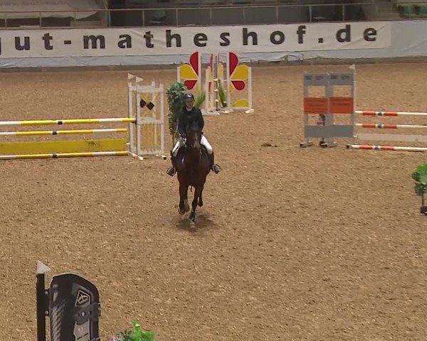 Reitturnier Kreuth/Opf. 2024