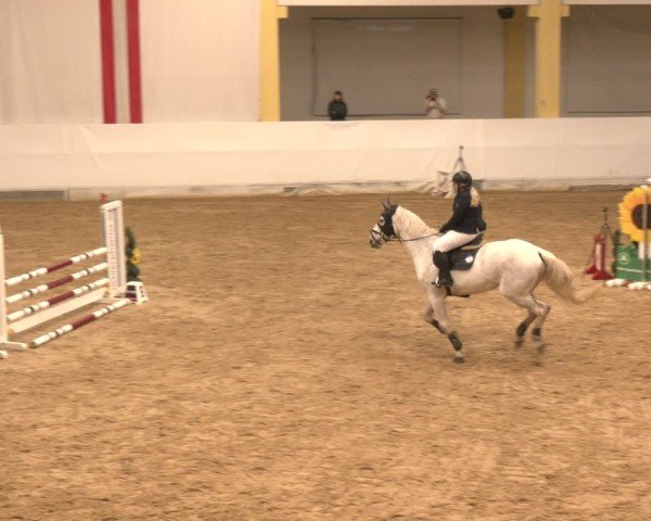 Reitturnier Stadl-Paura 2024