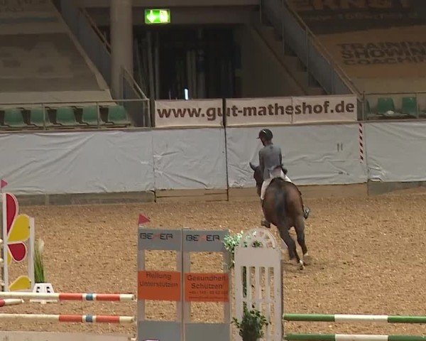 Reitturnier Kreuth/Opf. 2024