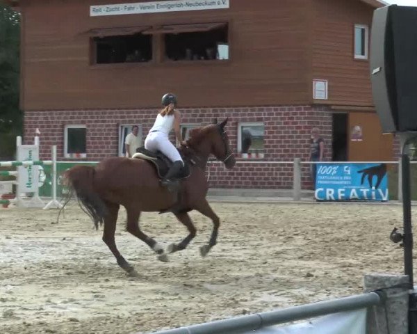 Ennigerloh-Neubeckum 2013
