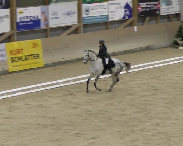 Reitturnier Schaffhausen 2024