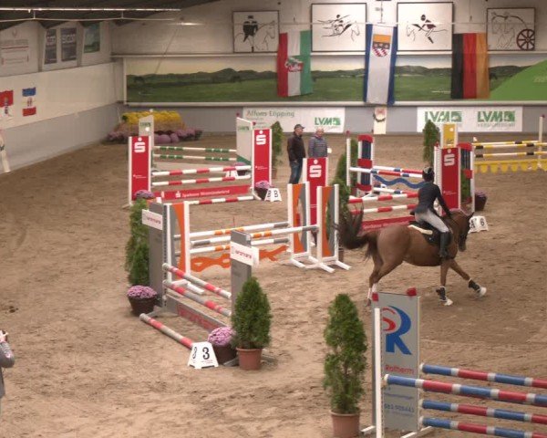 Reitturnier Legden | Ponyturnier 2024