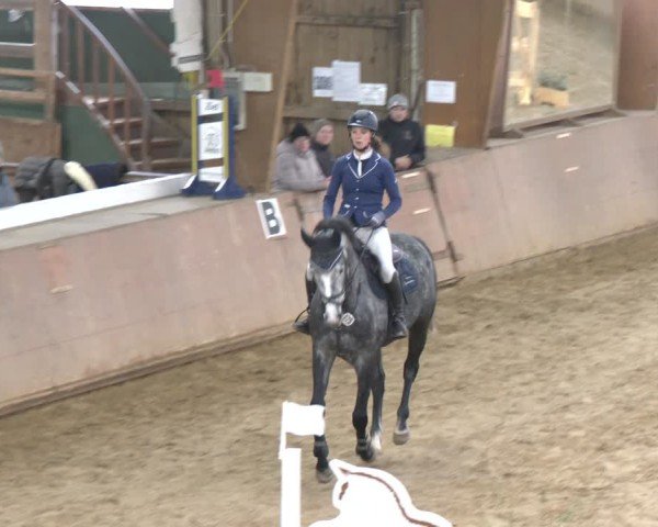 Reitturnier Bad Salzuflen 2024