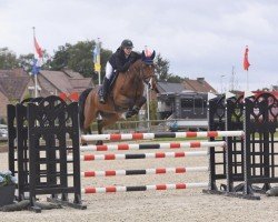 jumper Firmin D'Ecaussinnes (Belgium Sporthorse, 2011, from Nabab de Rêve)