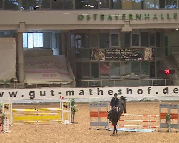 Reitturnier Kreuth/Opf. 2024