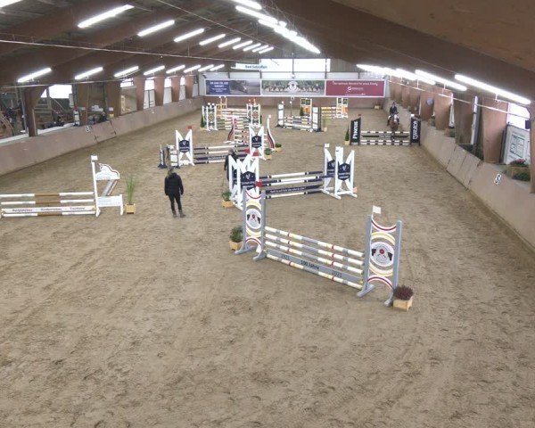 Reitturnier Bad Salzuflen 2024