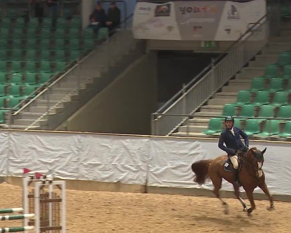 Reitturnier Kreuth/Opf. 2024