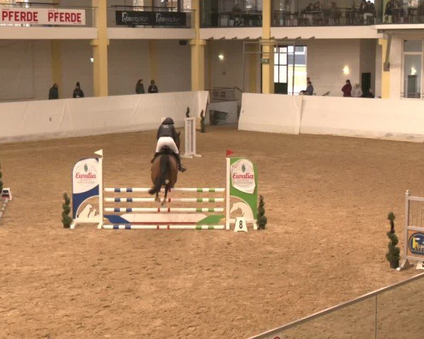Reitturnier Stadl-Paura 2024
