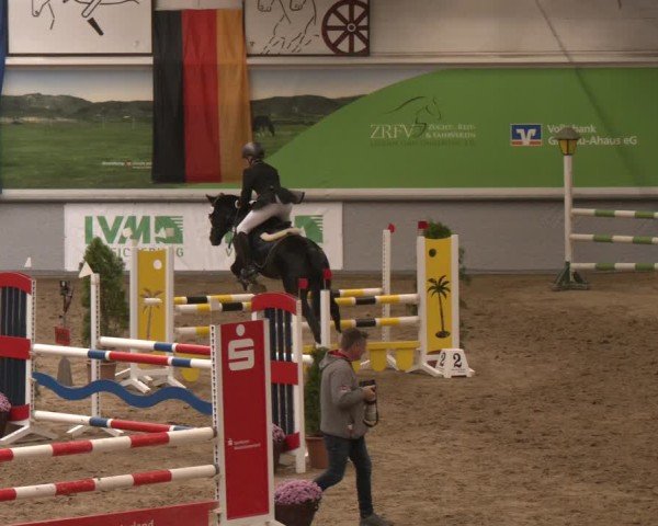 Reitturnier Legden | Ponyturnier 2024