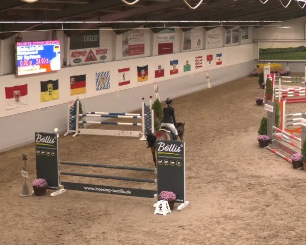 Reitturnier Legden | Ponyturnier 2024