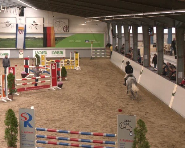 Reitturnier Legden | Ponyturnier 2024