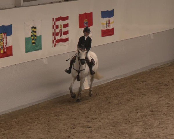 Reitturnier Legden | Ponyturnier 2024