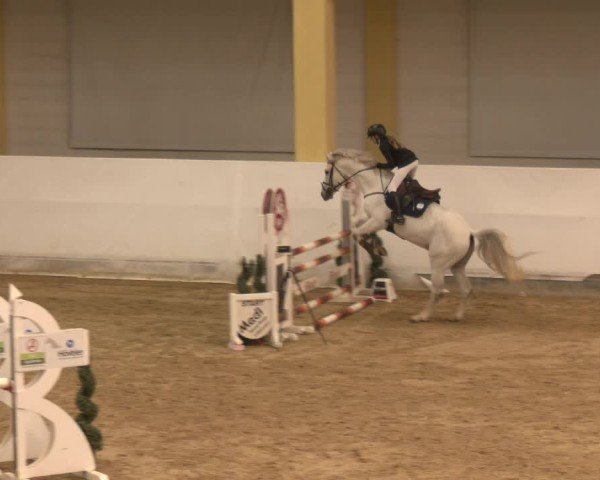 Reitturnier Stadl-Paura 2024
