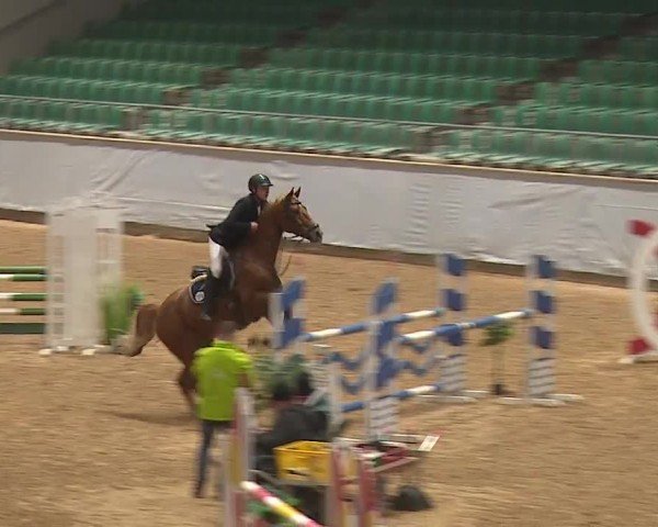 Reitturnier Kreuth/Opf. 2024