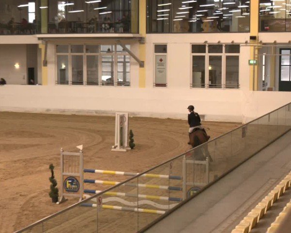 Reitturnier Stadl-Paura 2024