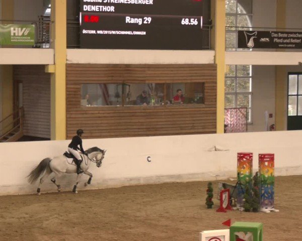Reitturnier Stadl-Paura 2024