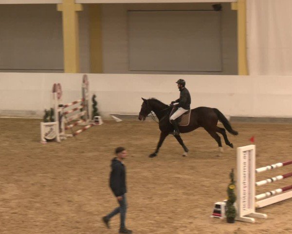 Reitturnier Stadl-Paura 2024