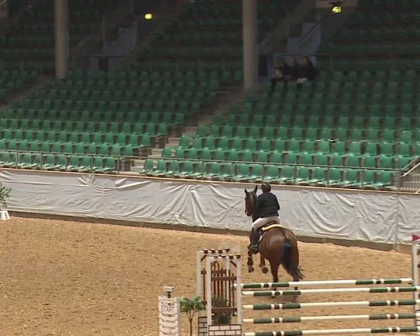 Reitturnier Kreuth/Opf. 2024