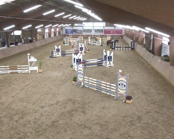 Reitturnier Bad Salzuflen 2024