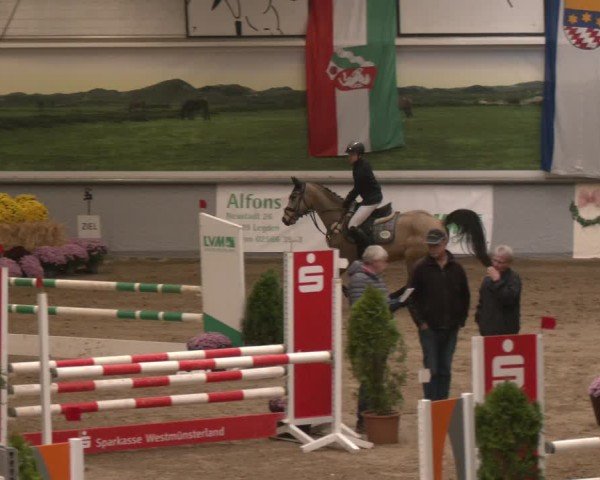 Reitturnier Legden | Ponyturnier 2024
