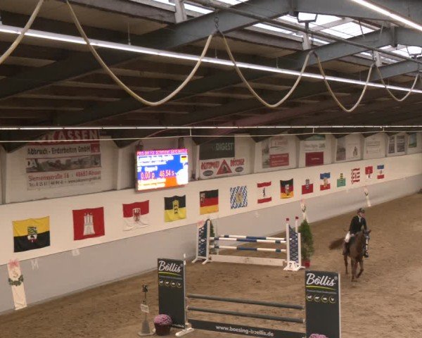 Reitturnier Legden | Ponyturnier 2024