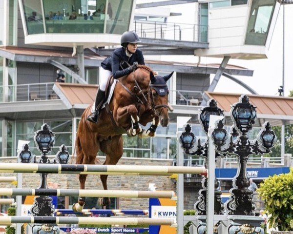 jumper Lambrusco (KWPN (Royal Dutch Sporthorse), 2016, from Entertainer)