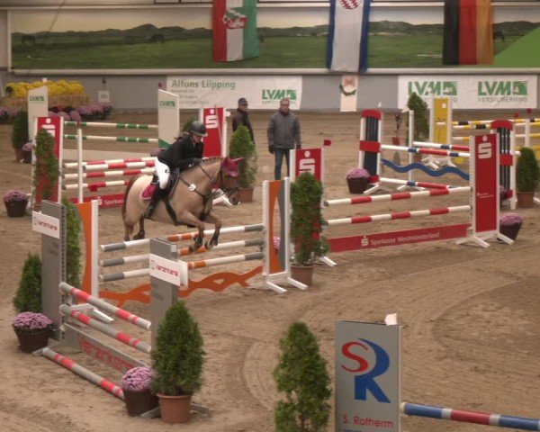 Reitturnier Legden | Ponyturnier 2024