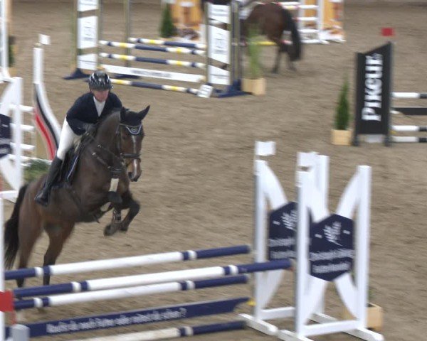 Reitturnier Bad Salzuflen 2024