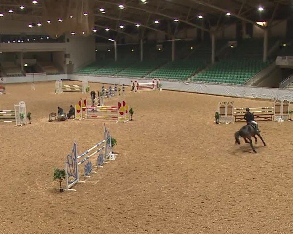 Reitturnier Kreuth/Opf. 2024