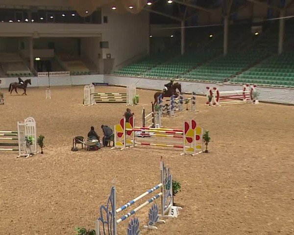 Reitturnier Kreuth/Opf. 2024