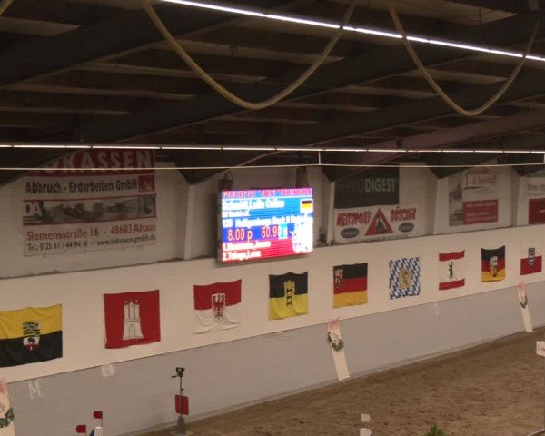 Reitturnier Legden | Ponyturnier 2024