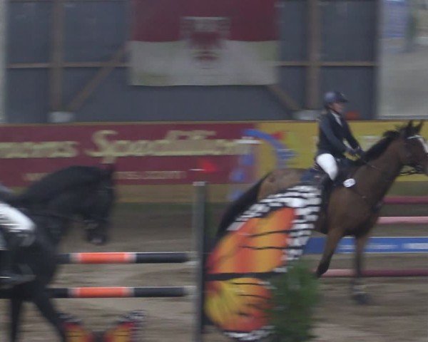 Reitturnier Pausin 2024