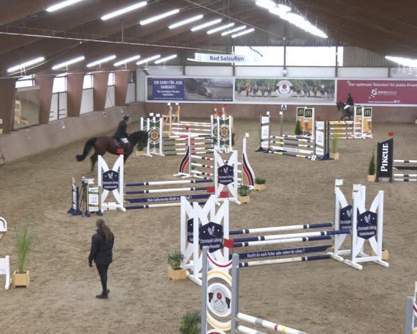 Reitturnier Bad Salzuflen 2024