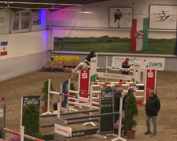 Reitturnier Legden | Ponyturnier 2024