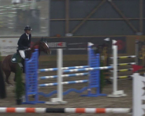 Reitturnier Pausin 2024