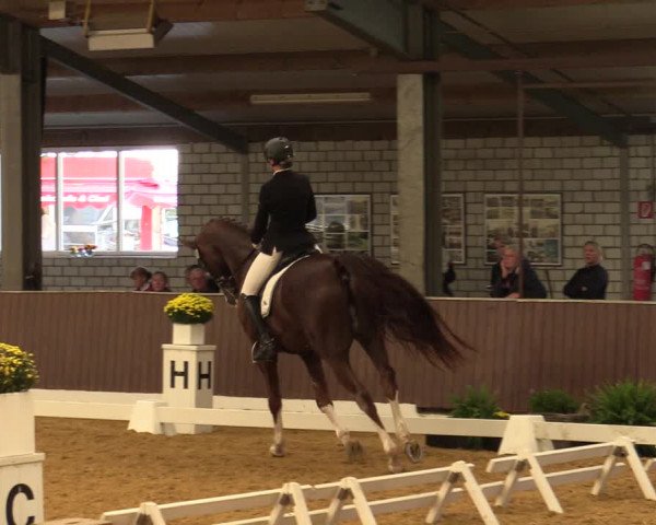 Reitturnier Kirchhellen-RSV Zur Linde 2021