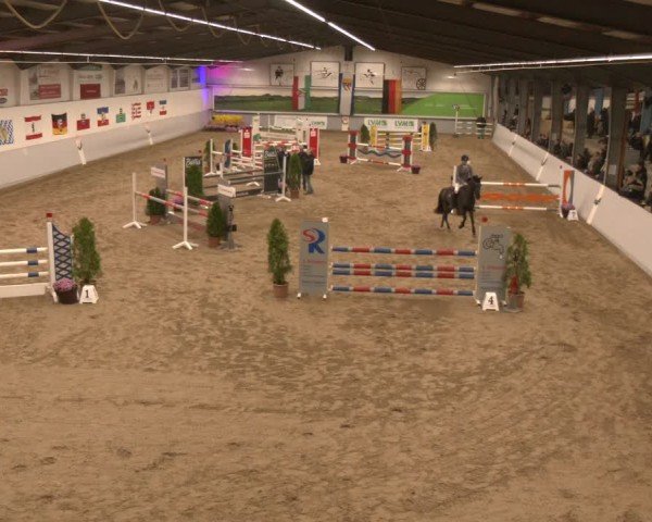 Reitturnier Legden | Ponyturnier 2024