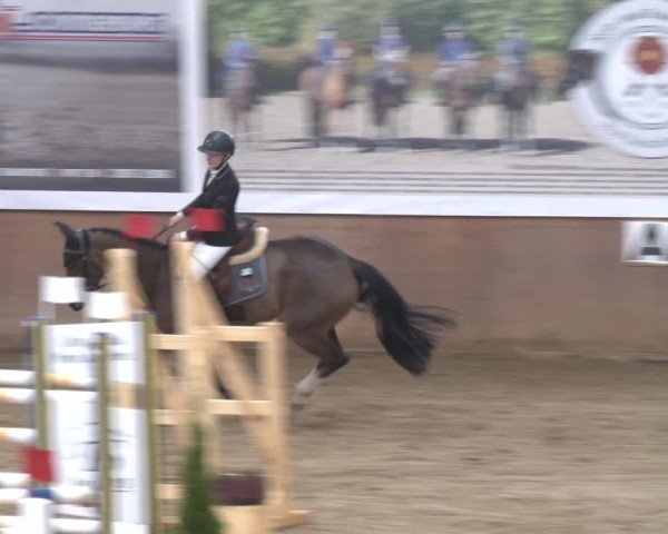 Reitturnier Bad Salzuflen 2024