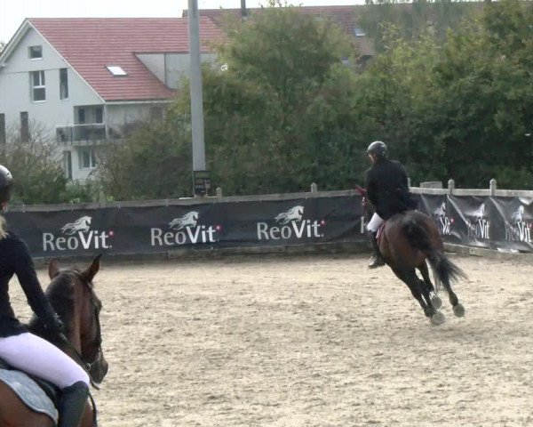 Pferdesporttage Neuendorf SO 2021