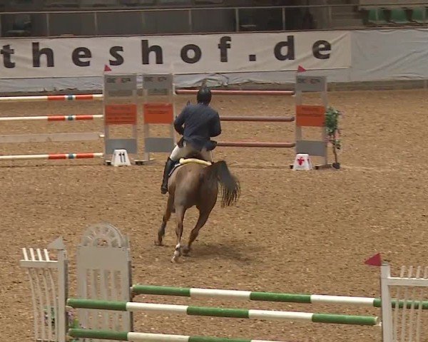 Reitturnier Kreuth/Opf. 2024