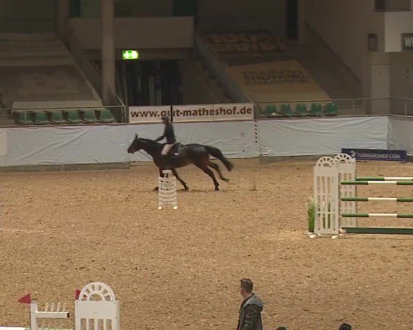 Reitturnier Kreuth/Opf. 2024