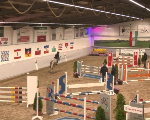 Reitturnier Legden | Ponyturnier 2024