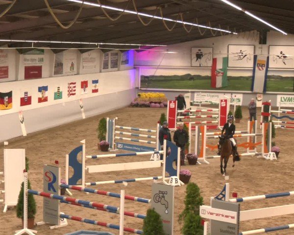 Reitturnier Legden | Ponyturnier 2024