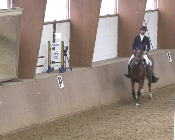Reitturnier Bad Salzuflen 2024
